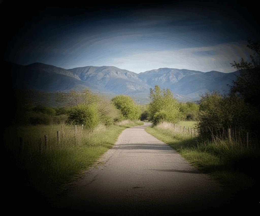 como ve una persona con retinosis pigmentaria